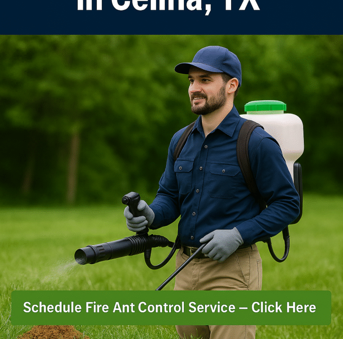 Fire Ant Control in Celina, TX