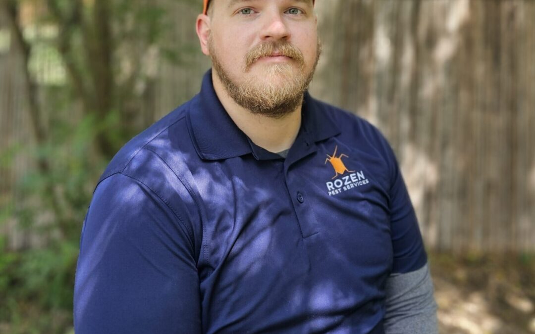 Wasp Control in Allen, TX | Rozen Pest Services