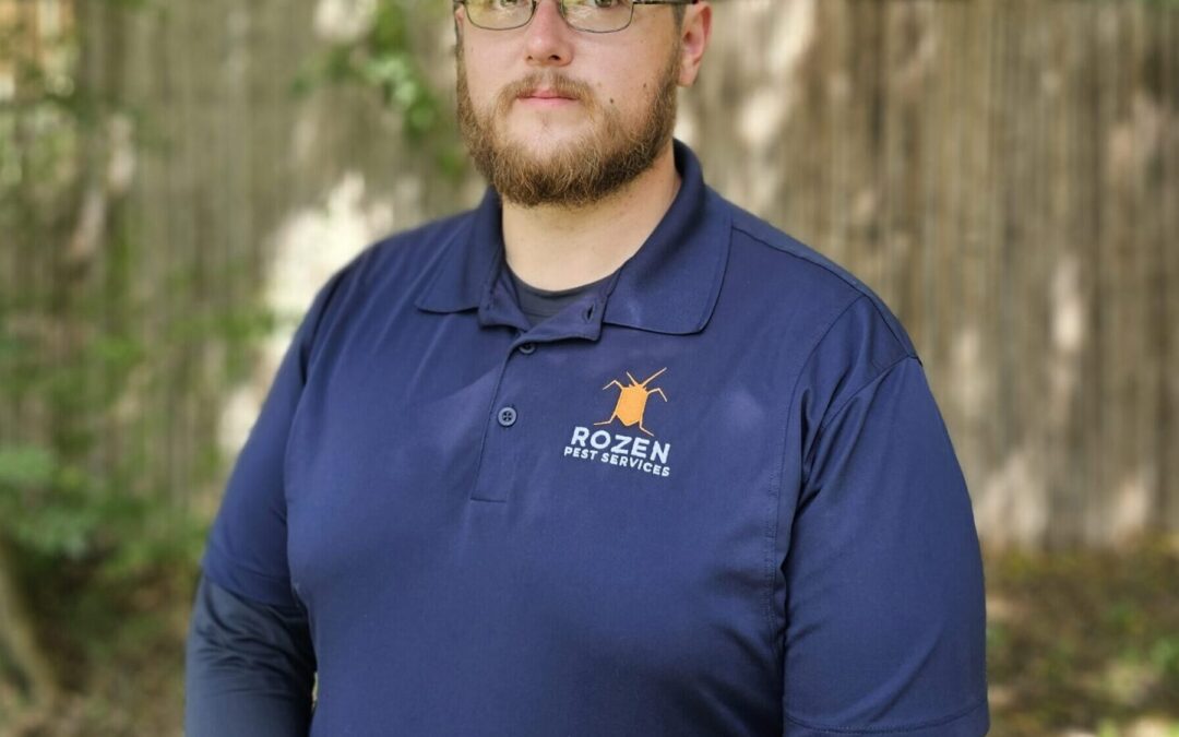 Wasp Control in Fairview, TX | Rozen Pest Services