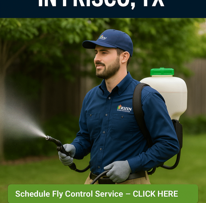 Fly Control in Frisco, TX