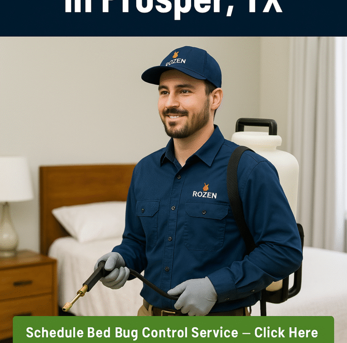 Bed Bug Control in Prosper, TX