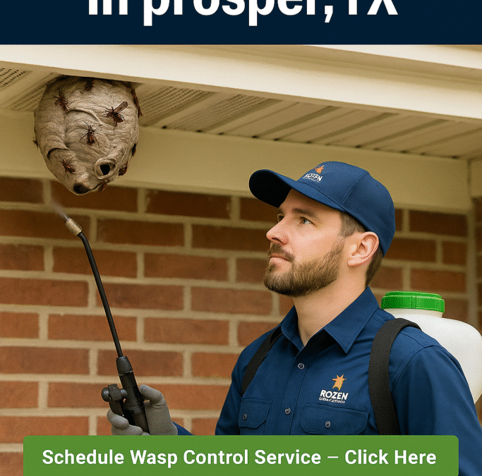 Wasp Control in Prosper, TX | Rozen Pest Services
